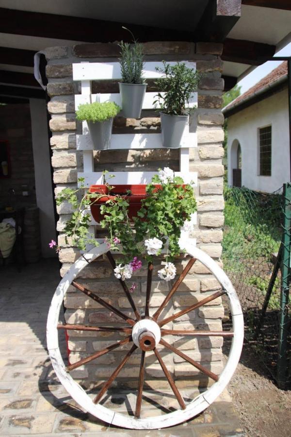 Palic Vila Masa Pr Emina Stipancevic 외부 사진